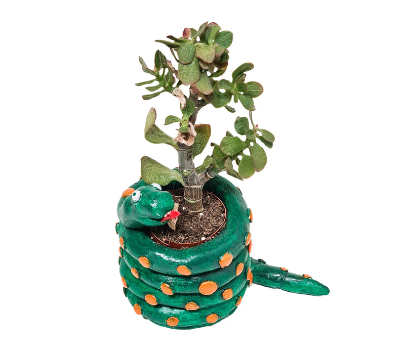 Snake pot sculpted with Sculp kids pottery kit