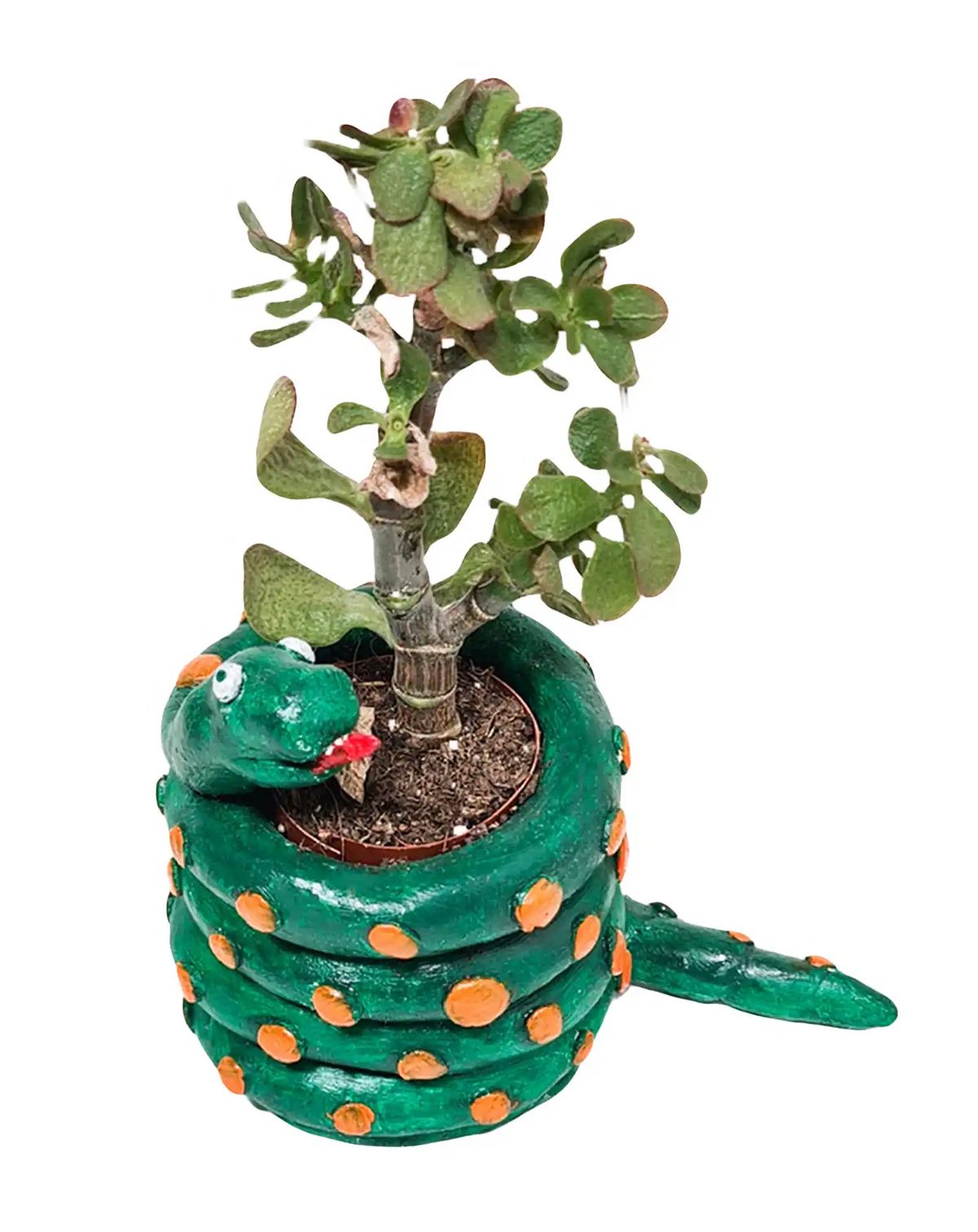 Green snake-shaped planter banner for Sculpd CA kids kits listicle
